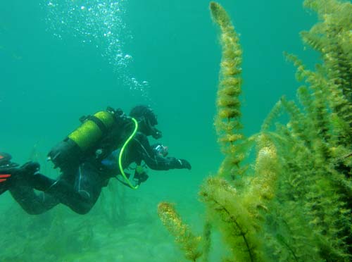 Curso de buceo en las Lagunas de Ruidera