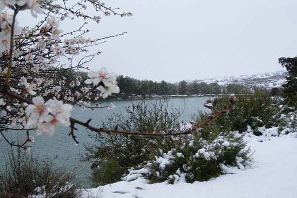 Las Lagunas de Ruidera en Primavera